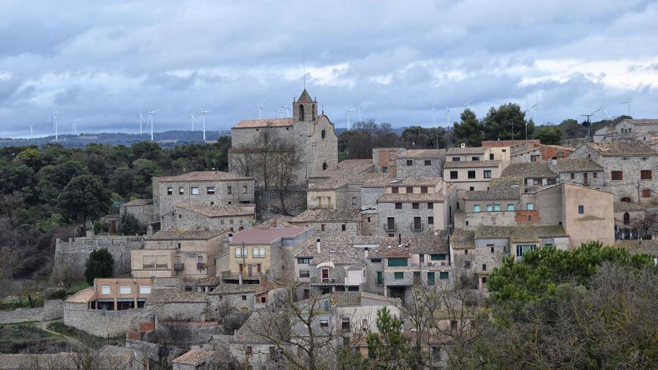 5.2.2017 Paisatge  Freixenet de Segarra -  Ramon Sunyer