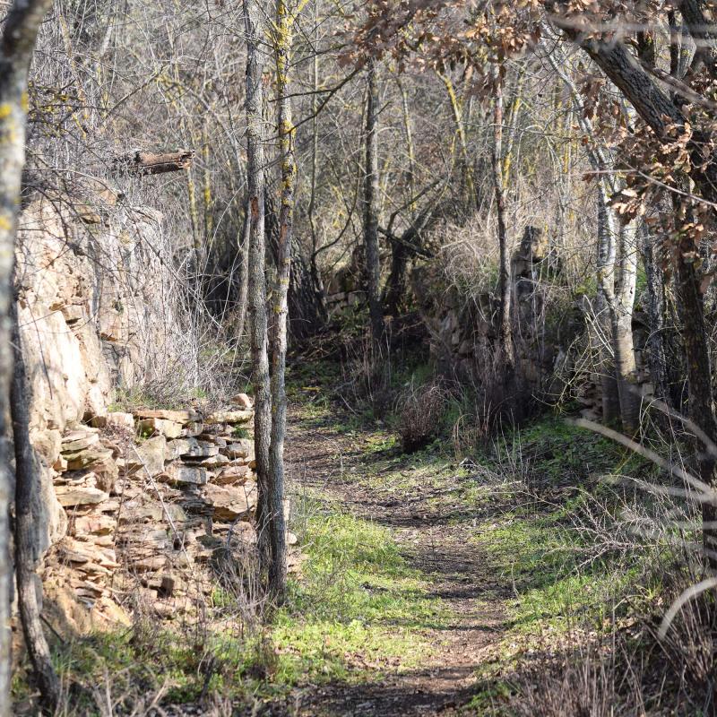 19.2.2017 Camí  Granollers -  Ramon Sunyer