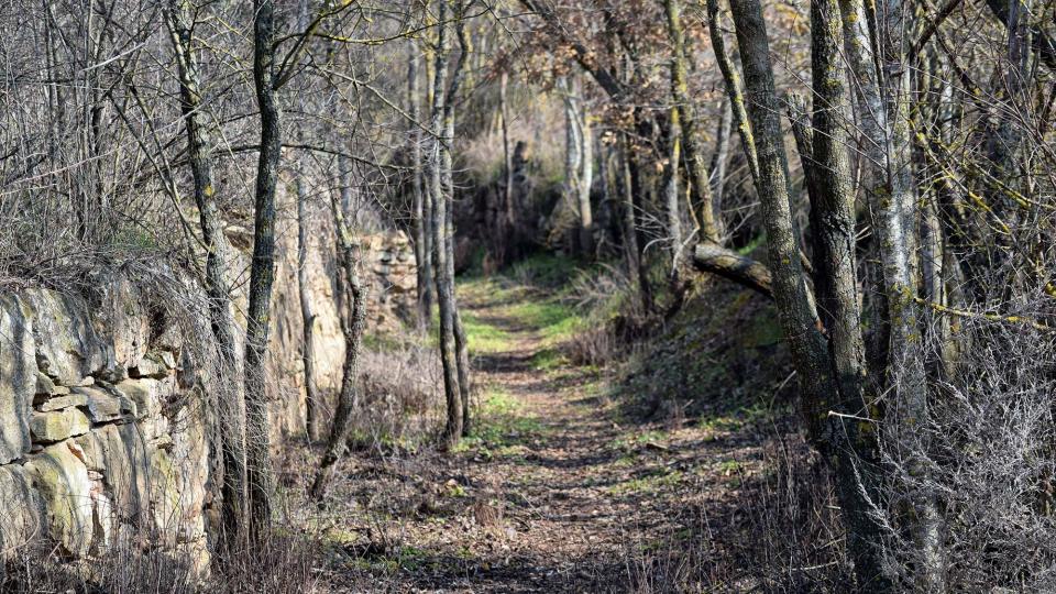 19.2.2017 Camí  Granollers -  Ramon Sunyer