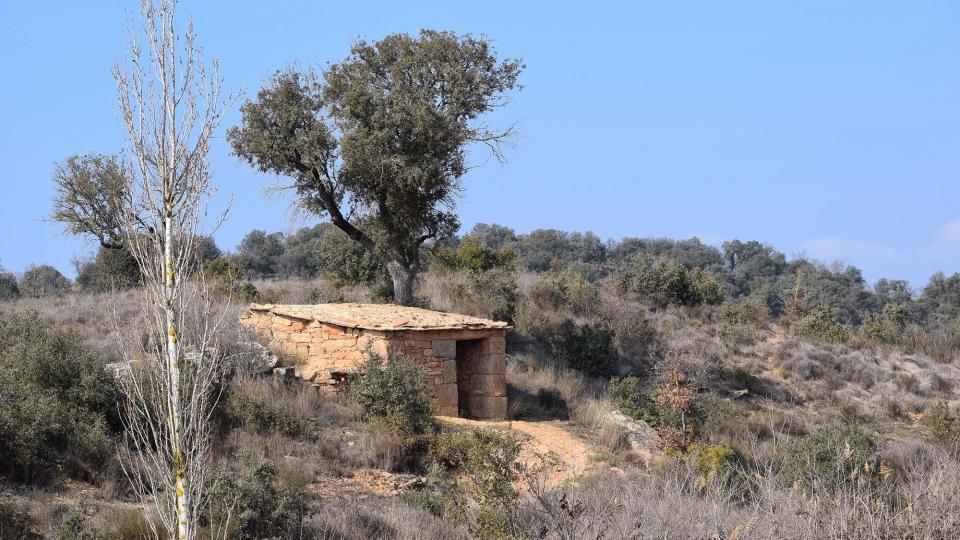 19.2.2017 Cabana de l'Espinal  Granollers -  Ramon Sunyer