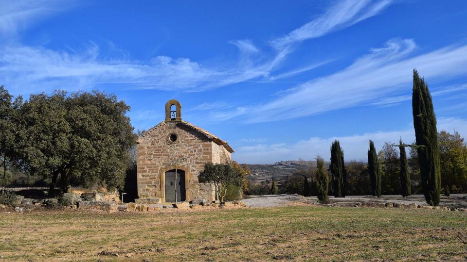 10.12.2016 Mare de Déu de la Soledad  Selvanera -  Ramon Sunyer