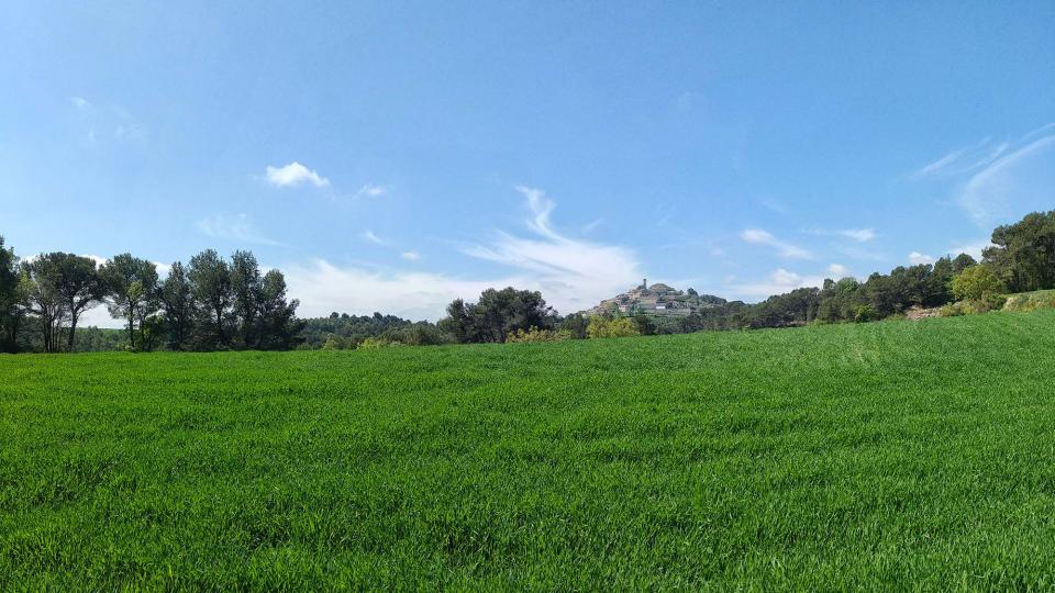 17.4.2017 paisatge  Argençola -  Marina Berenguer