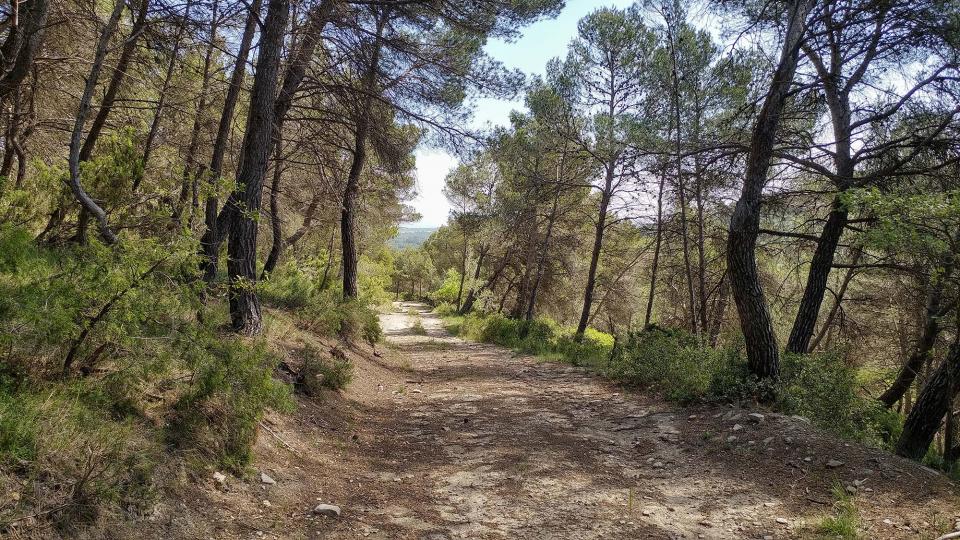 Walking Tour of Pou de gel - Author Marina Berenguer (2017)