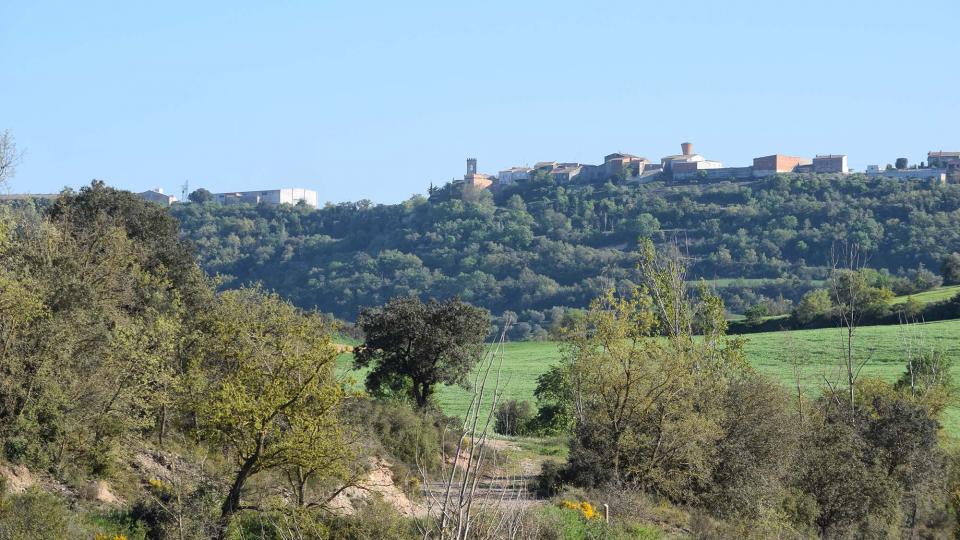 13.4.2017 vista de vifred  Palouet -  Ramon Sunyer