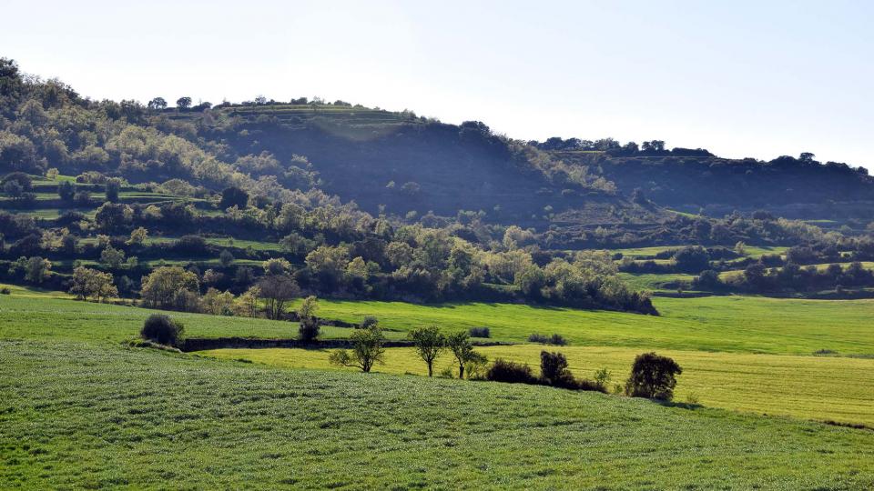 13.4.2017   Palouet -  Ramon Sunyer