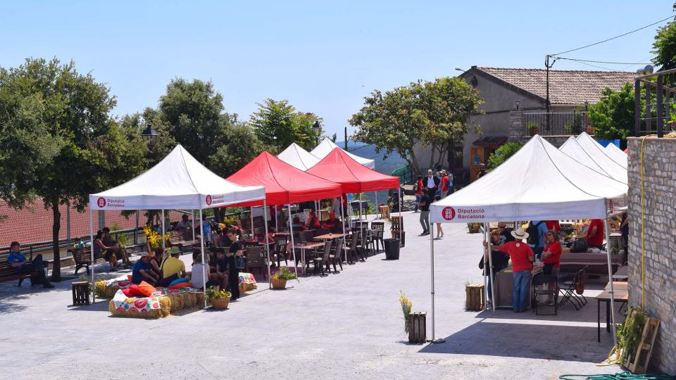 10.6.2017 - 7è mercat de les espècies - Argençola - Ajuntament Argençola