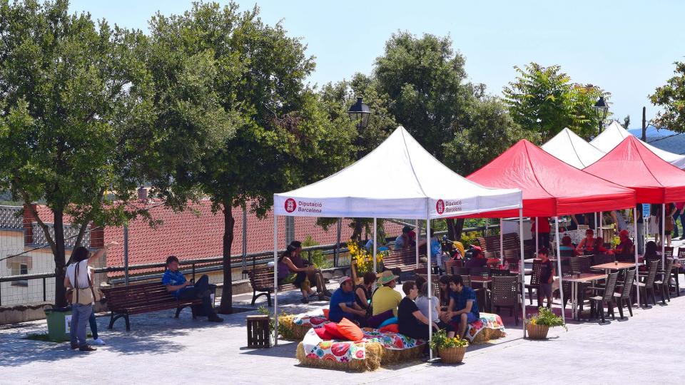 10.6.2017 - 7è mercat de les espècies - Argençola - Ajuntament Argençola