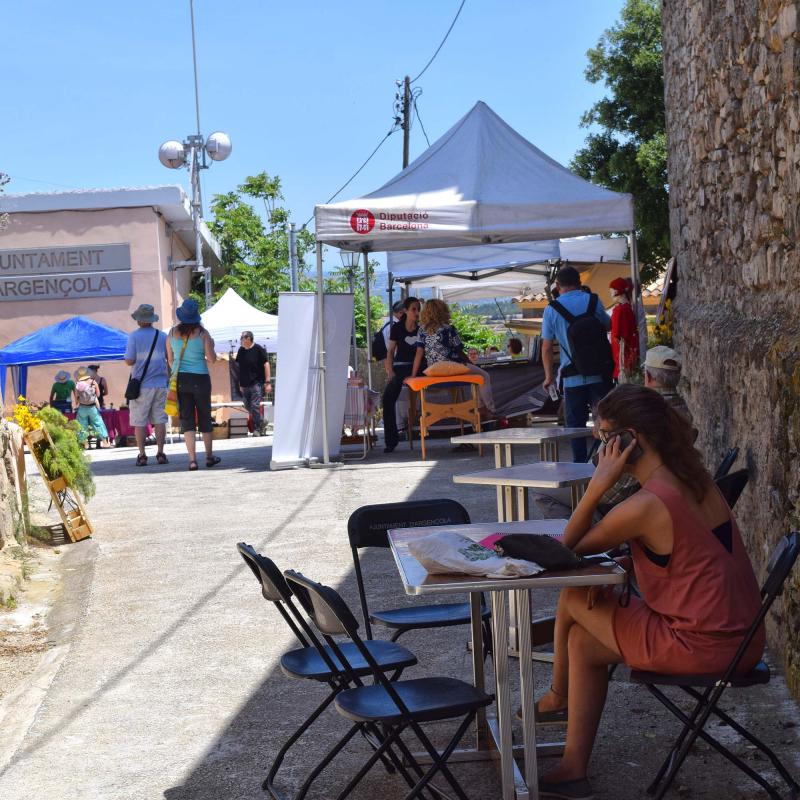 10.6.2017 - 7è mercat de les espècies - Argençola - Ajuntament Argençola