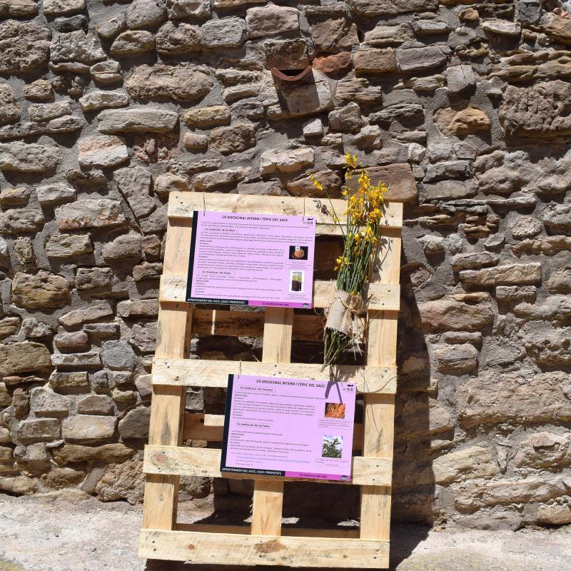 10.6.2017 - 7è mercat de les espècies - Argençola - Ajuntament Argençola