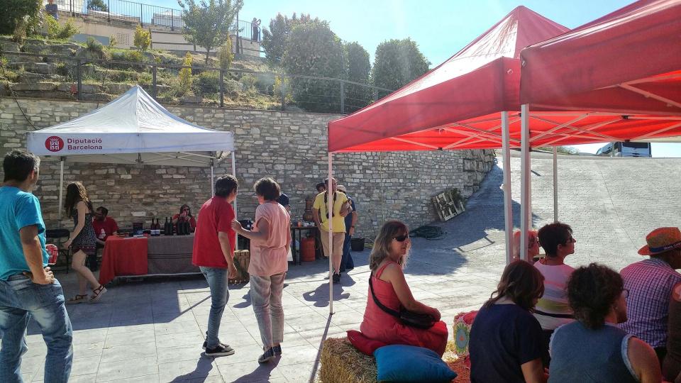 10.6.2017 - espai de l'alquímia de les Espècies - Argençola - Marina Berenguer