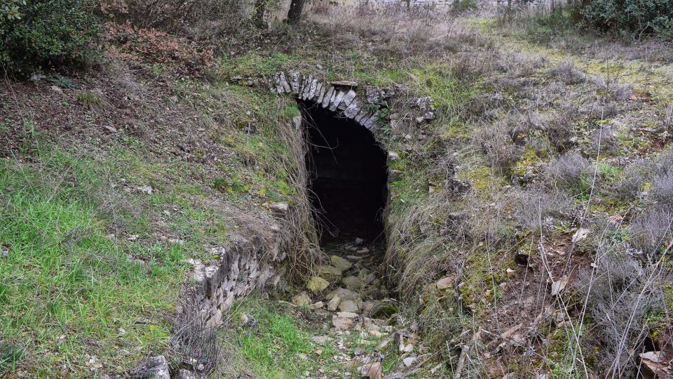 12.2.2017 Font de sant Salvador  Altadill -  Ramon Sunyer