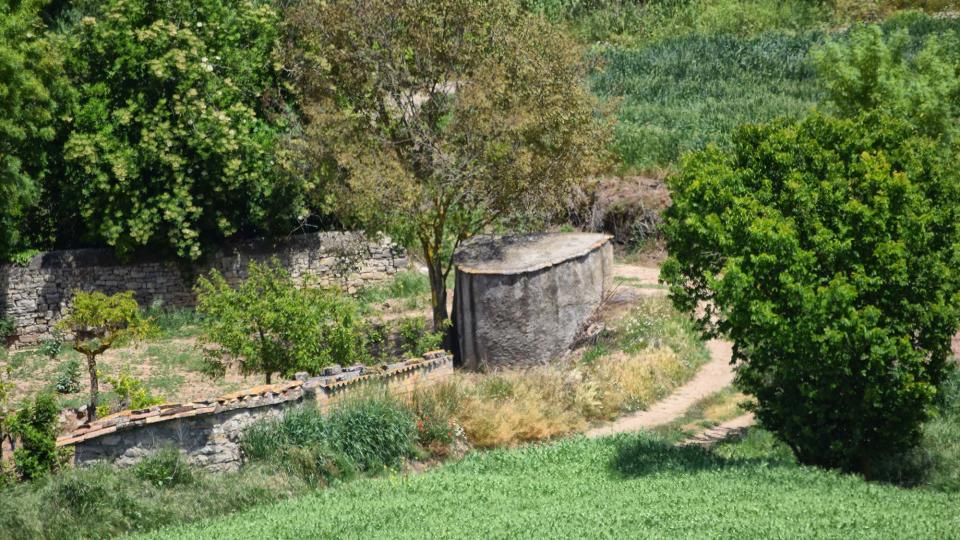 14.5.2017   Sant Domí -  Ramon Sunyer