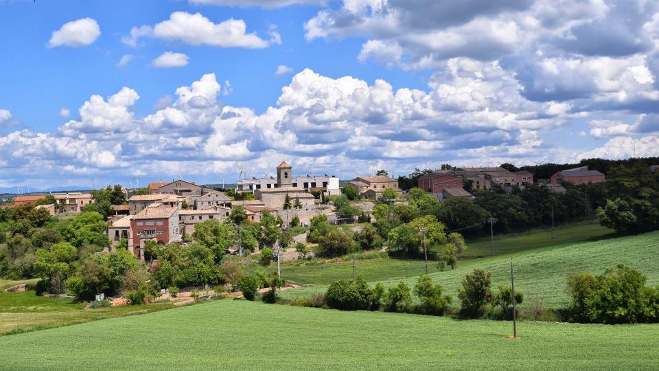 14.5.2017   Sant Domí -  Ramon Sunyer