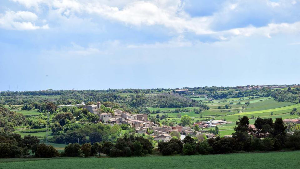 14.5.2017   Freixenet de Segarra -  Ramon Sunyer