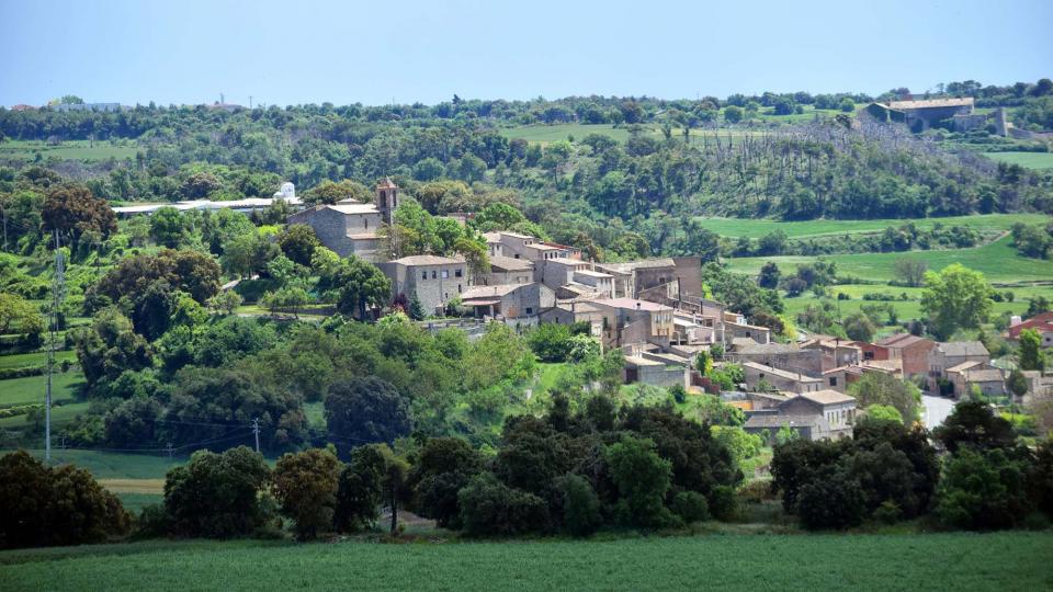 14.5.2017   Freixenet de Segarra -  Ramon Sunyer