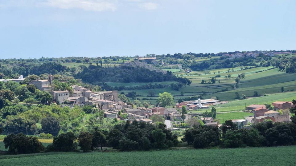 14.5.2017 Des d'Altadill  Freixenet de Segarra -  Ramon Sunyer