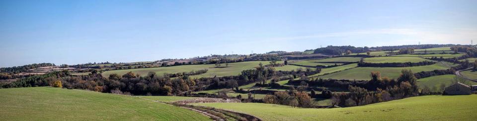 Paisatge 26.2.2017 Paisatge Montmaneu - Ramon Sunyer