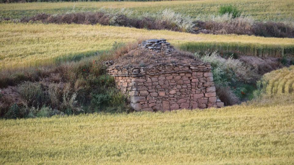 3.6.2017 cabana  Sant Pere Sallavinera -  Ramon Sunyer