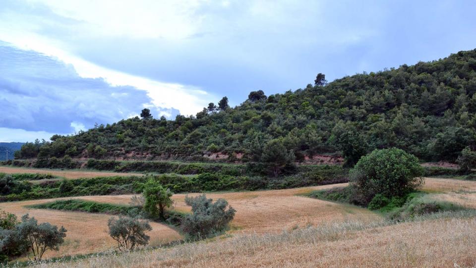 3.6.2017 Aguilar de Segarra - Ramon Sunyer