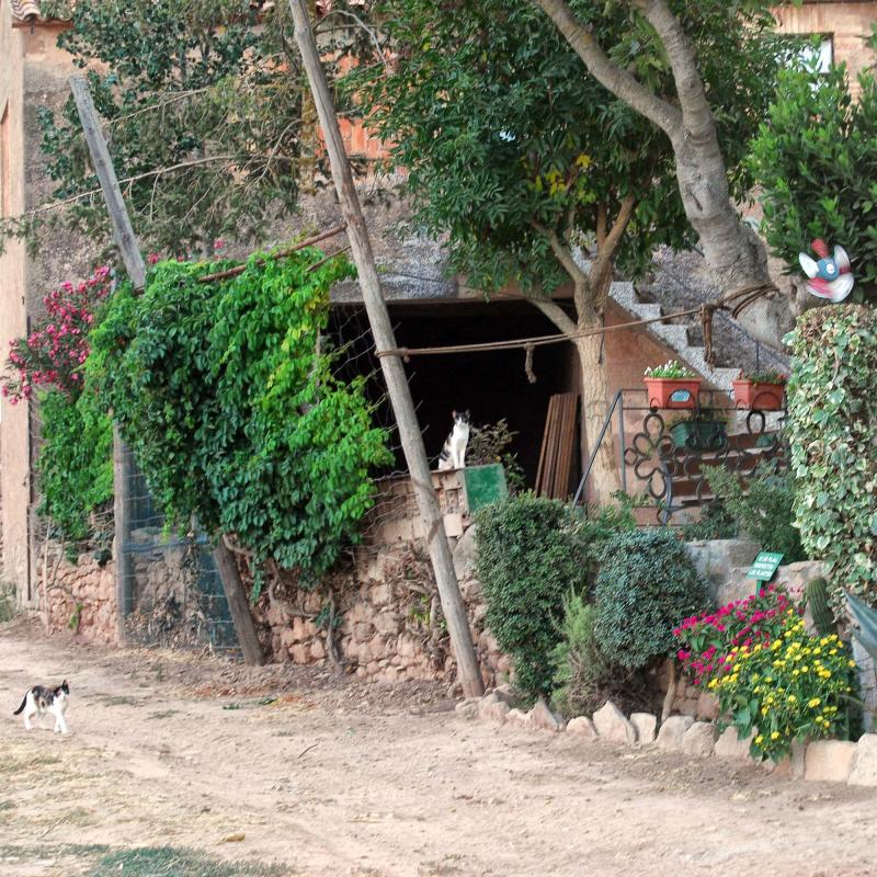 10.8.2016 Les Coromines - Ramon Sunyer