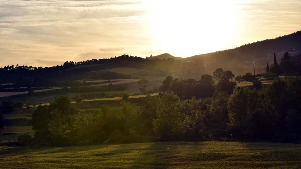 28.5.2017   Aguilar de Segarra -  Ramon Sunyer