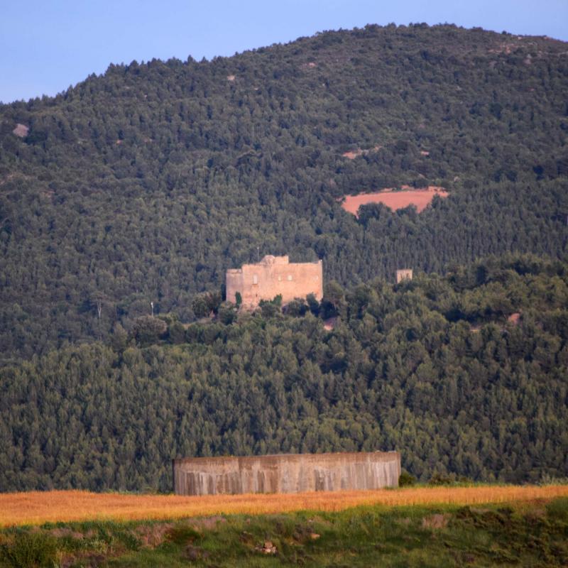 28.5.2017 Castellar - Ramon Sunyer