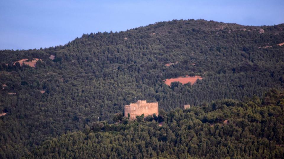 28.5.2017 Castellar - Ramon Sunyer