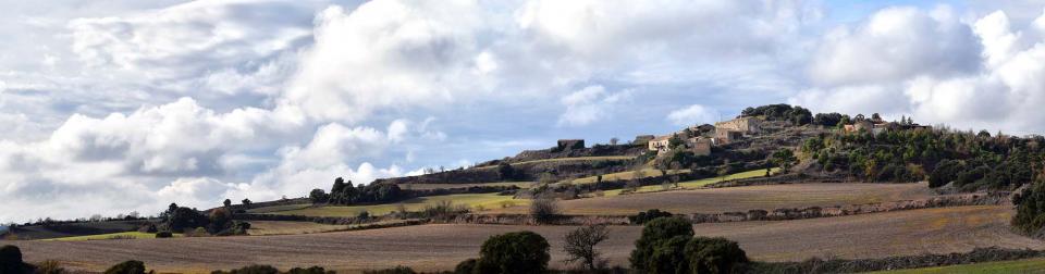 7.12.2016   Montfalcó el Gros -  Ramon Sunyer