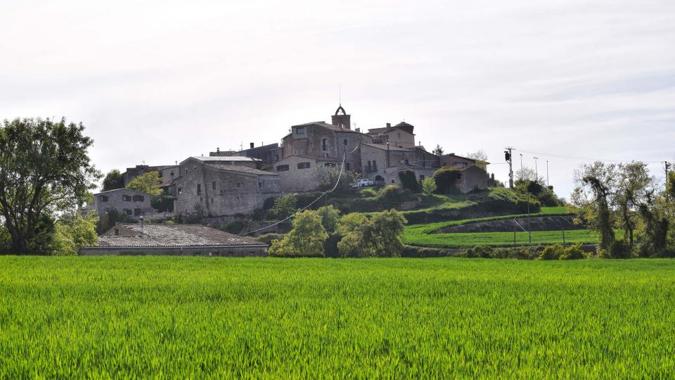 23.4.2017   Bellmunt de Segarra -  Ramon Sunyer