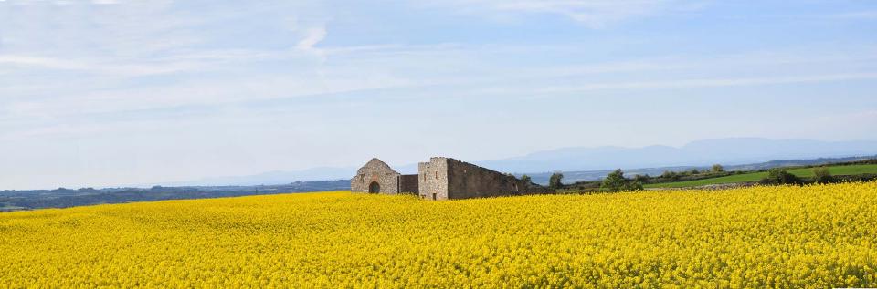 23.4.2017 panoràmica  Bellmunt de Segarra -  Ramon Sunyer