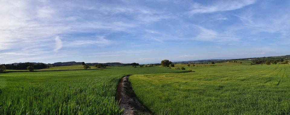 23.4.2017 panoràmica  Talavera -  Ramon Sunyer