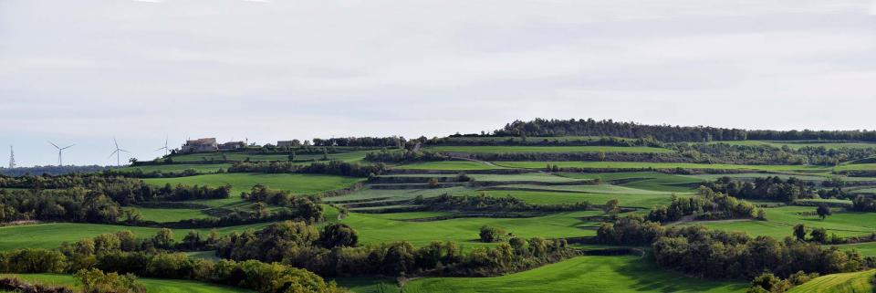 23.4.2017 panoràmica  Suro -  Ramon Sunyer