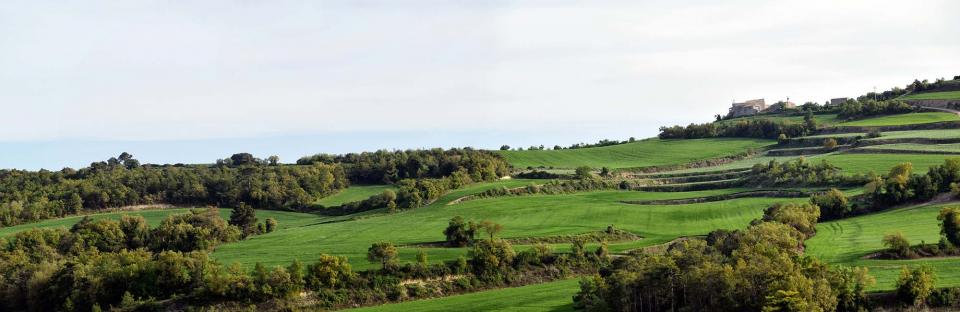 23.4.2017 panoràmica  Suro -  Ramon Sunyer