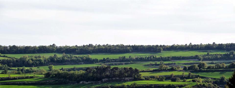 23.4.2017 panoràmica  Suro -  Ramon Sunyer