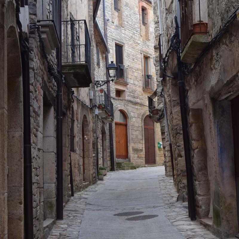 Carrer 12.3.2017 Carrer Conesa - Ramon Sunyer