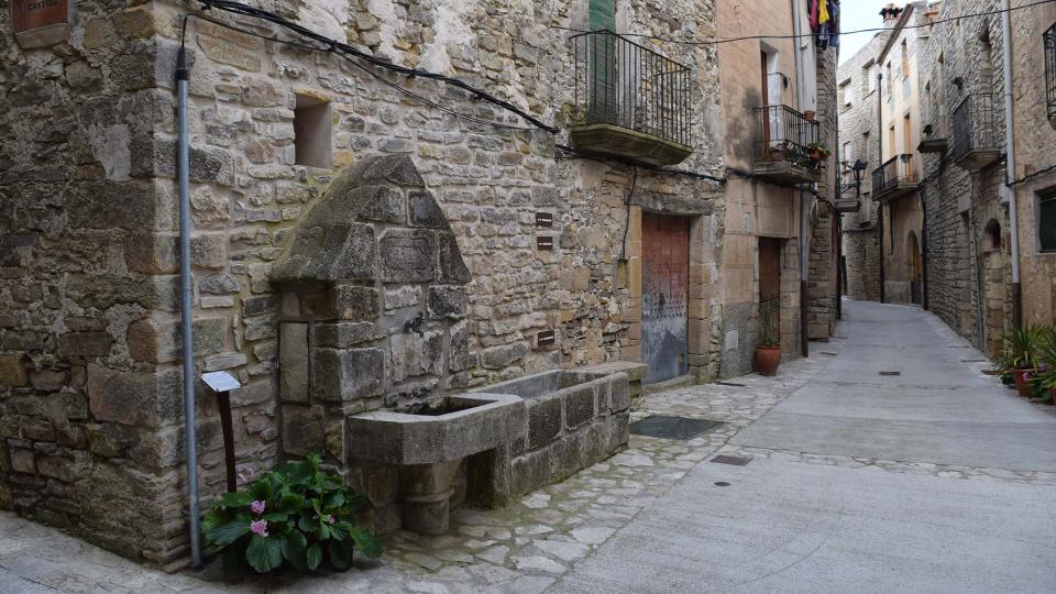 Font Vella 12.3.2017 Font Vella Conesa - Ramon Sunyer