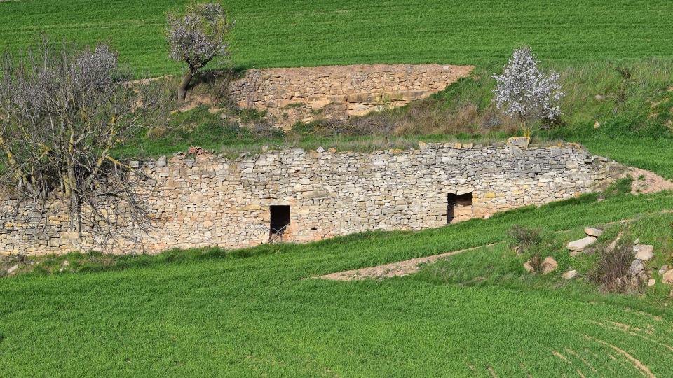 12.3.2017 Paisatge  Vallfogona de Riucorb -  Ramon Sunyer