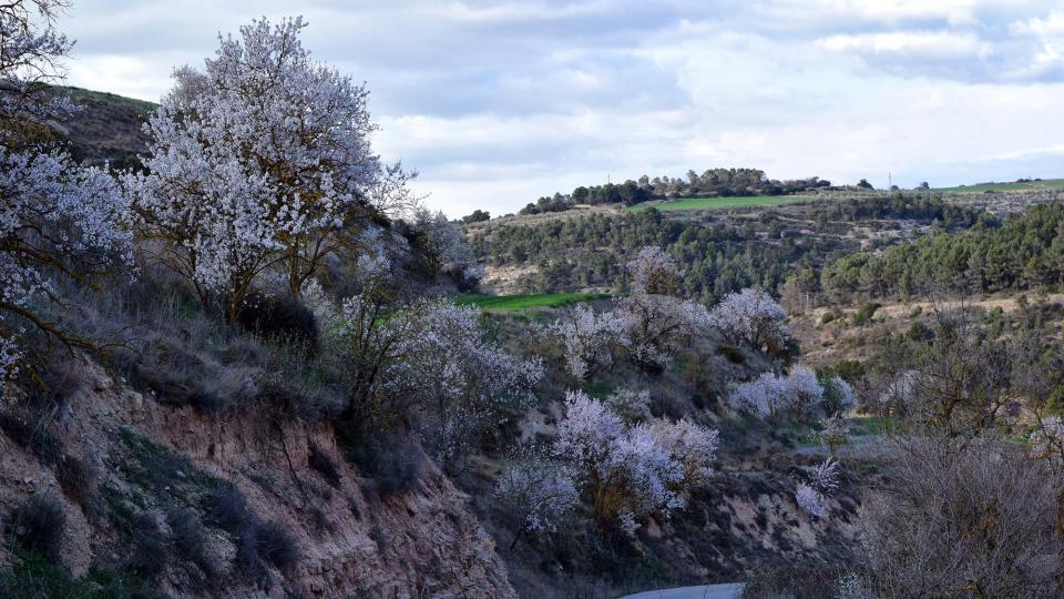 12 de Març de 2017 Paisatge  Vallfogona de Riucorb -  Ramon Sunyer