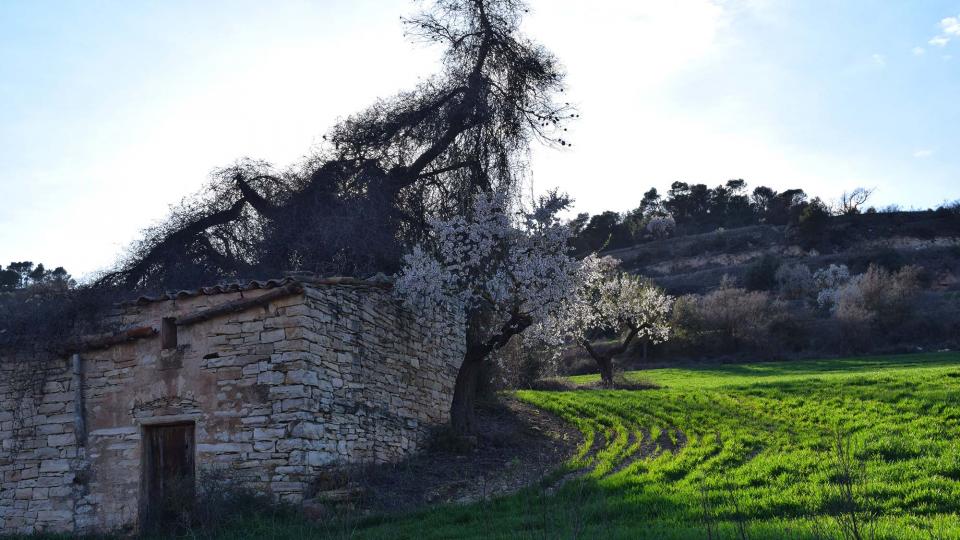 12.3.2017 cabana  Vallfogona de Riucorb -  Ramon Sunyer