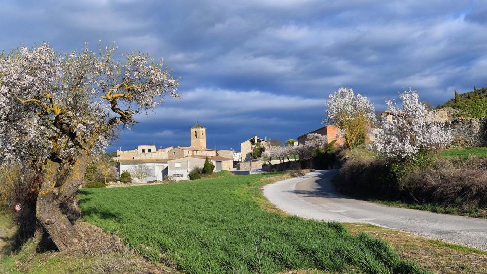 12.3.2017 vista a la primavera  Vallfogona de Riucorb -  Ramon Sunyer