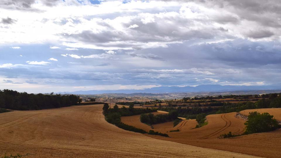 1 de Juliol de 2017 Paisatge  Bellmunt de Segarra -  Ramon Sunyer