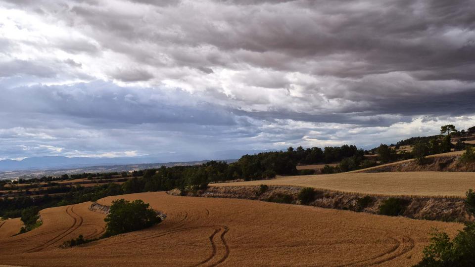 1 de Juliol de 2017 Paisatge  Bellmunt de Segarra -  Ramon Sunyer