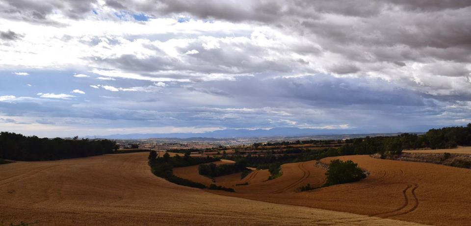 1.7.2017 panoràmica  Bellmunt de Segarra -  Ramon Sunyer