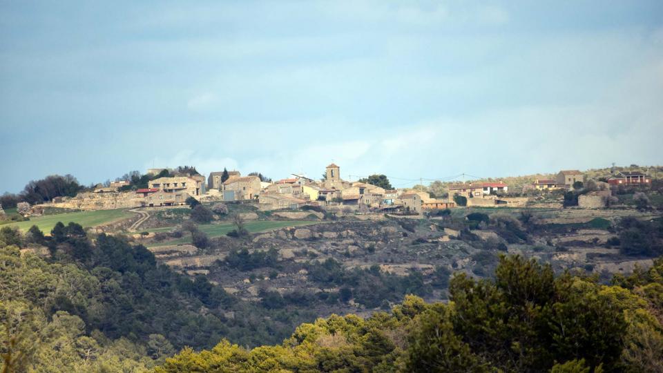 12.3.2017 Vista des de Passanant  Albió -  Ramon Sunyer