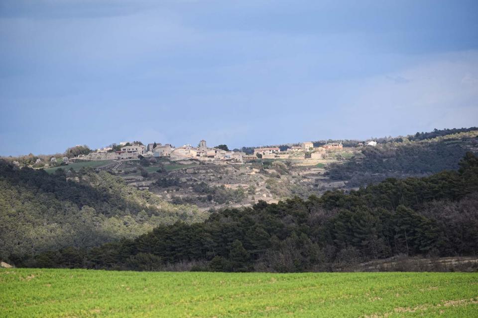 12.3.2017 Vista des de Passanant  Albió -  Ramon Sunyer