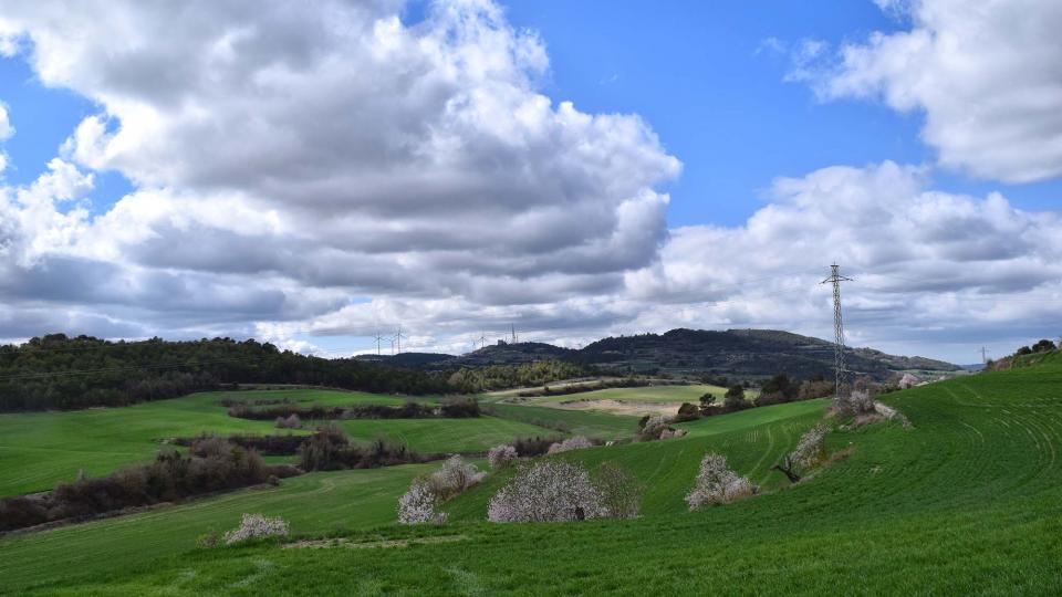 12 de Març de 2017 Paisatge  La Cirera -  Ramon Sunyer