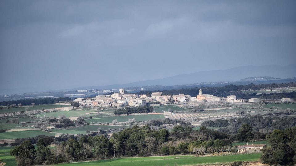 12.3.2017 vista des de Passanant  L'Ametlla de Segarra -  Ramon Sunyer