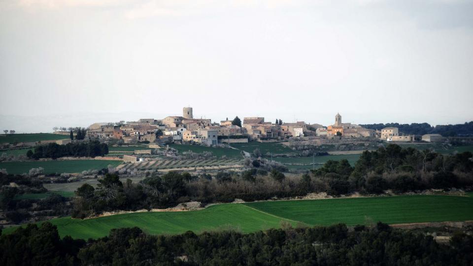 12.3.2017 vista des de Passanant  L'Ametlla de Segarra -  Ramon Sunyer