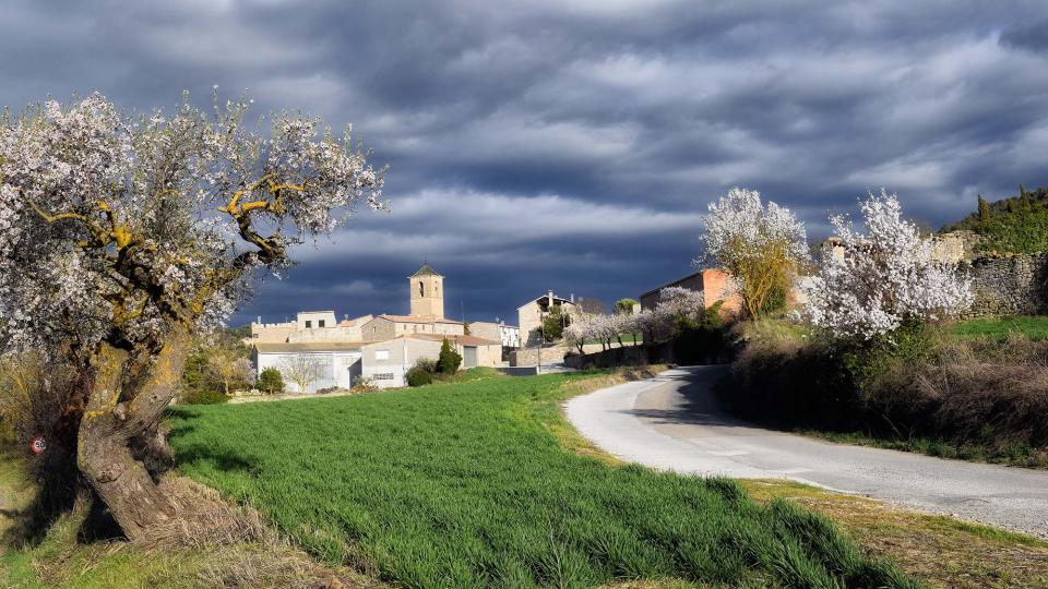 12.3.2017 Paisatge  Vallfogona de Riucorb -  Ramon Sunyer