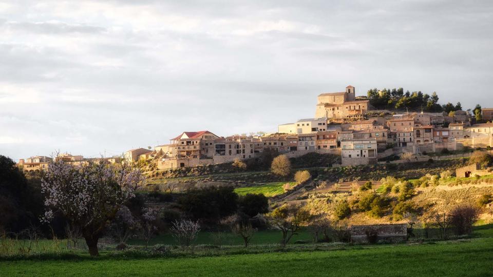 12 de Març de 2017 Paisatge  Montornès de Segarra -  Ramon Sunyer